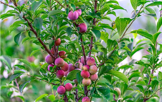 Изображение новости